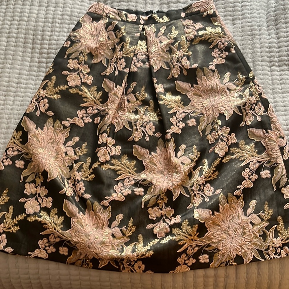 Embroidered skirt with pleats.